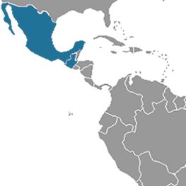 México – Guatemala – Honduras: "El mundo maya"