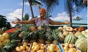 25 фактов о Доминикане