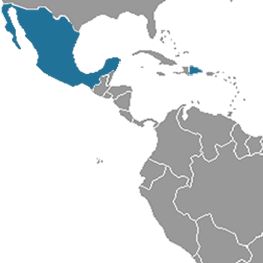 Доминикана – Мексика, "Карибский бриз"