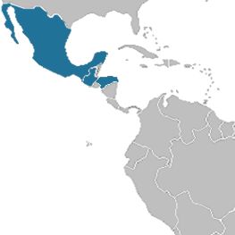 Мексика – Гватемала – Гондурас: "Мир майя"