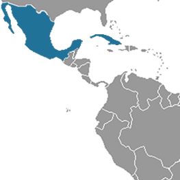 Куба – Мексика, "Ла Бамба": Гавана – Варадеро – Мехико