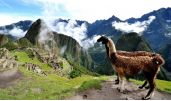 Весь многоликий Перу